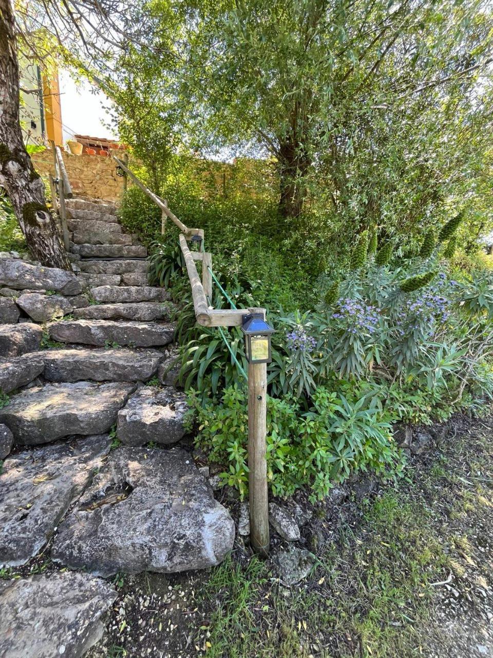 Quinta Laranja - Turismo Rural - Alvorninha Екстер'єр фото