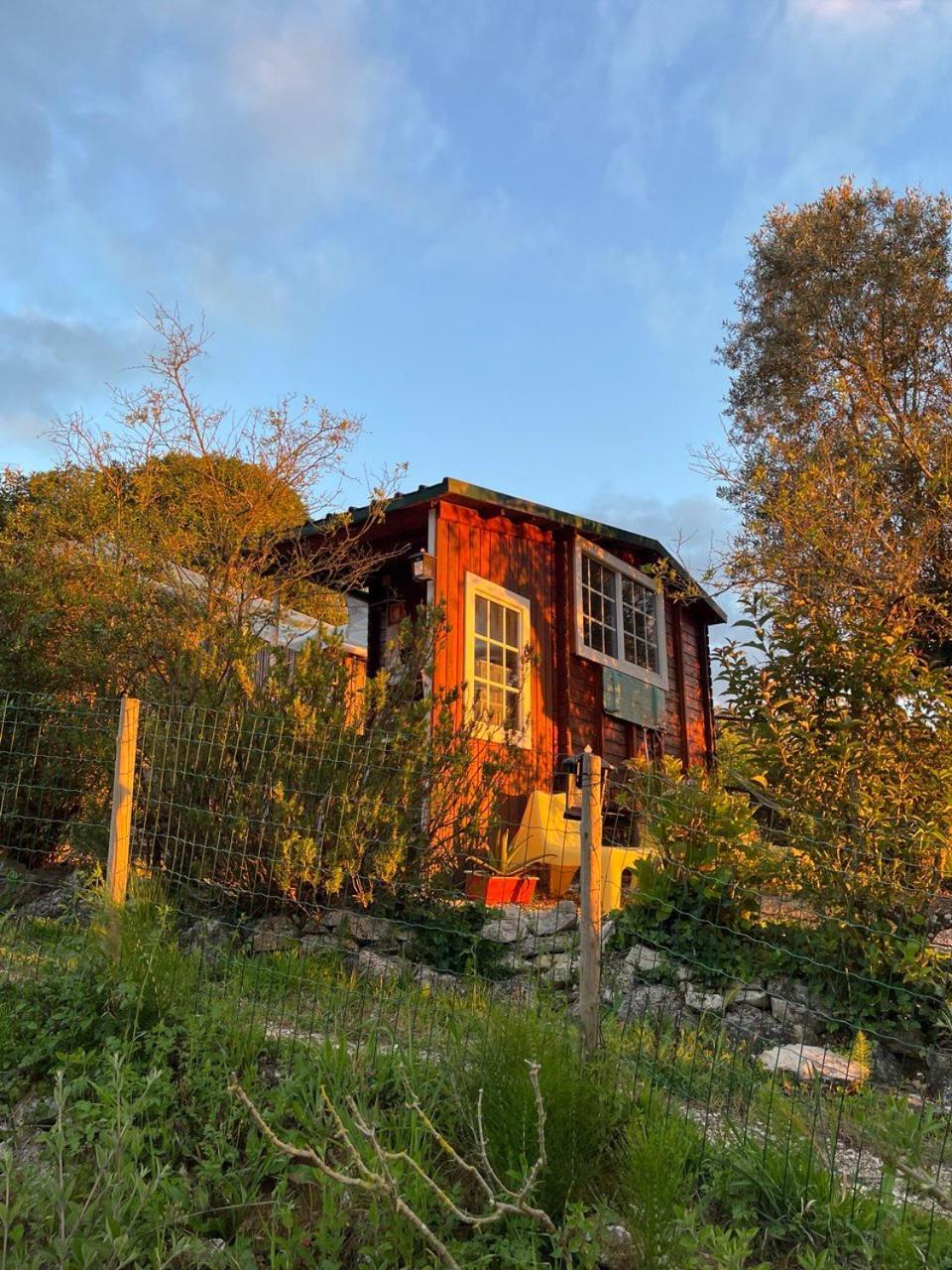 Quinta Laranja - Turismo Rural - Alvorninha Екстер'єр фото