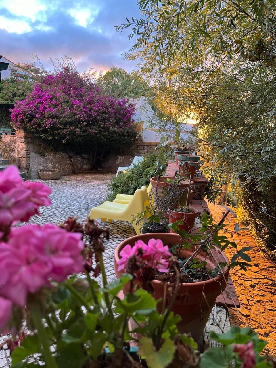 Quinta Laranja - Turismo Rural - Alvorninha Екстер'єр фото