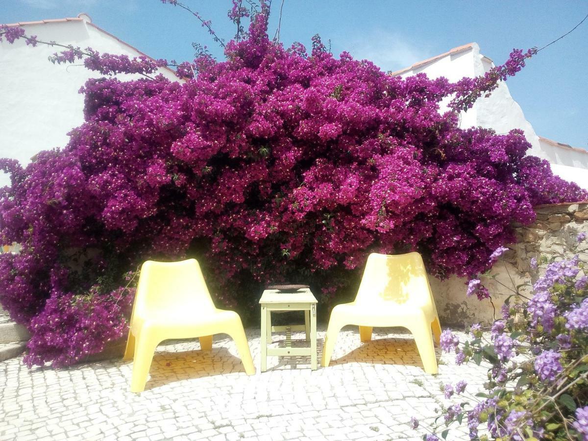 Quinta Laranja - Turismo Rural - Alvorninha Екстер'єр фото